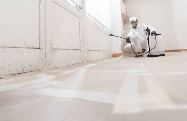 24/7 Emergency Mold Remediation experts in Onley, VA