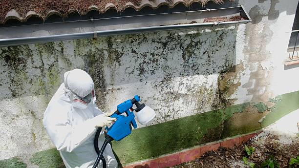 Top rated local Mold Remediation specialists in Onley, VA